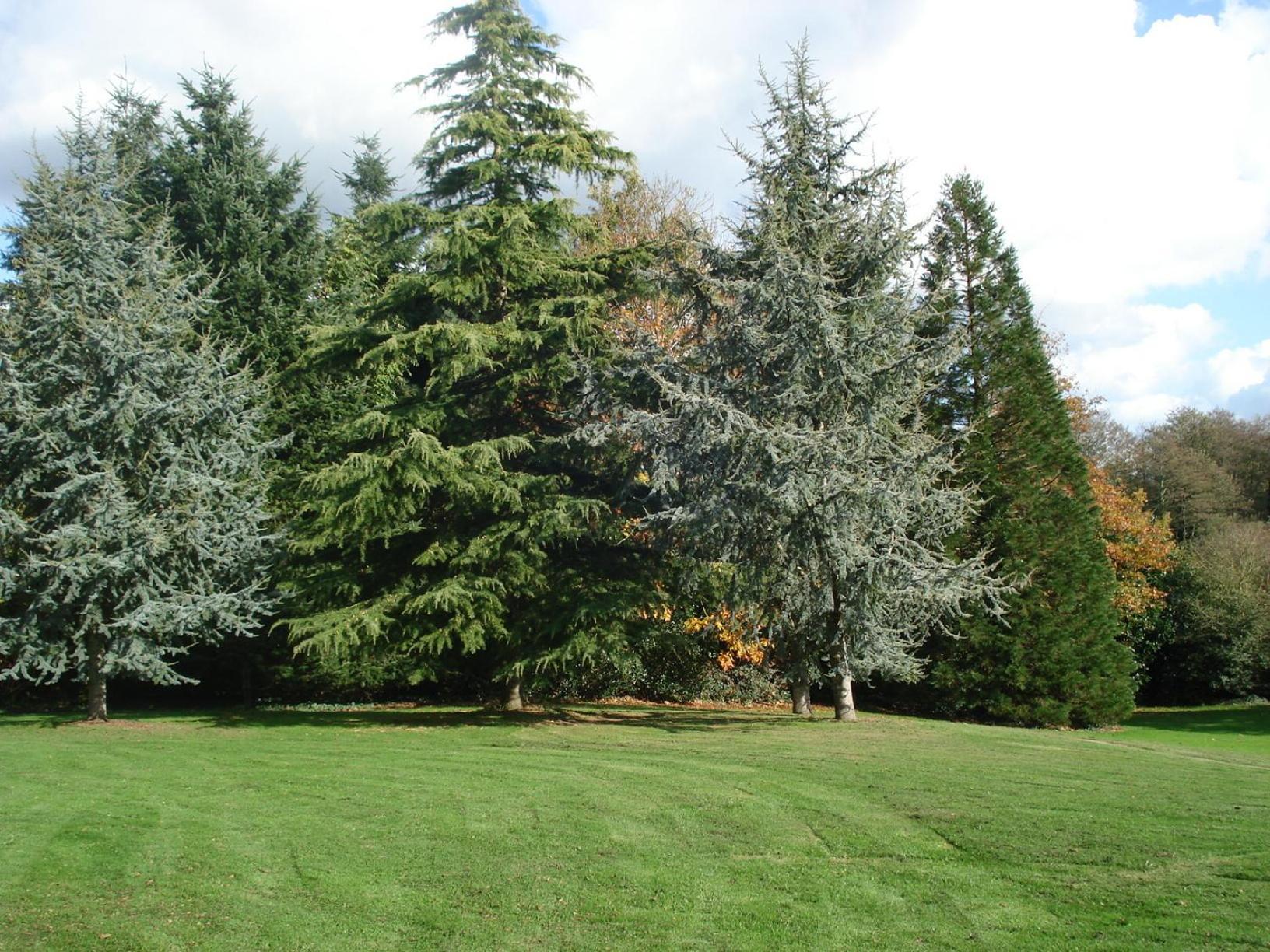 Gite de Cohignac Berric Exterior foto